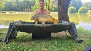 Mirror Carp