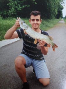 Northern Pike