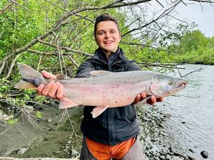 Coho Salmon