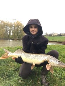 Northern Pike