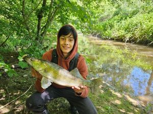 Zander