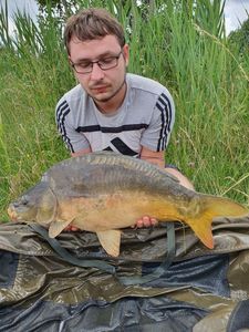 Mirror Carp