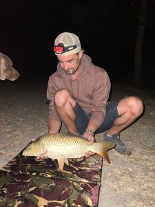 Common Carp