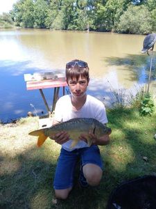 Mirror Carp