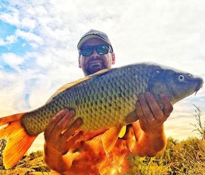 Common Carp