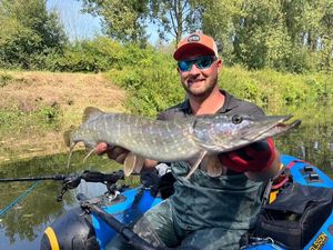 Northern Pike
