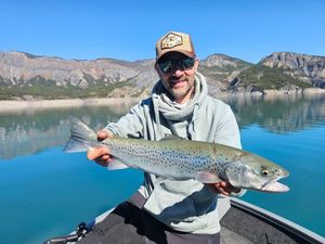 Lake Trout