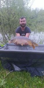 Mirror Carp