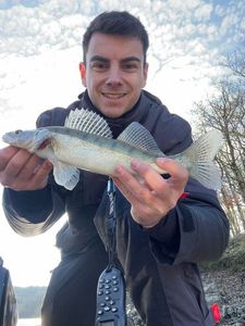 Zander