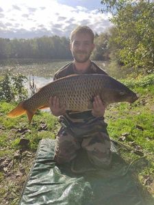 Common Carp