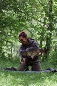 Common Carp