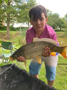 Common Carp