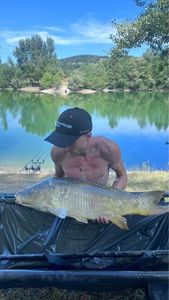 Mirror Carp
