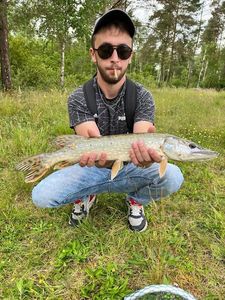 Northern Pike