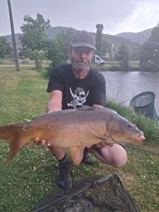 Mirror Carp