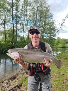Rainbow Trout