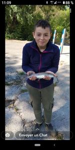 Rainbow Trout