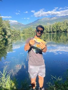 Largemouth Bass