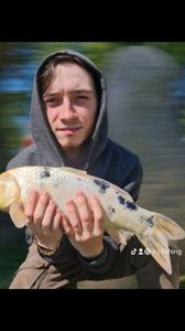 Koï Fish