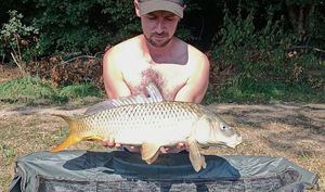 Common Carp