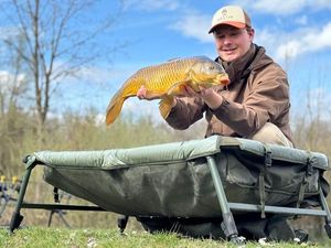 Common Carp