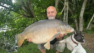 Mirror Carp