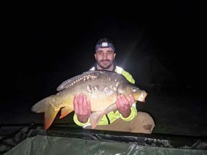 Mirror Carp