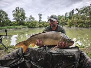 Mirror Carp