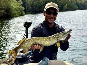 Northern Pike