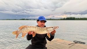 Northern Pike