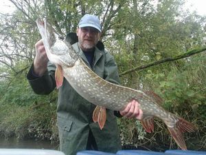 Northern Pike