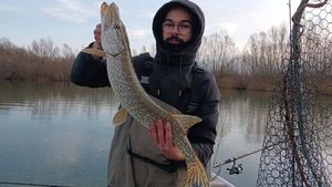 Northern Pike