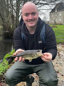 Largemouth Bass