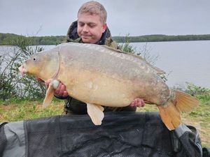 Mirror Carp