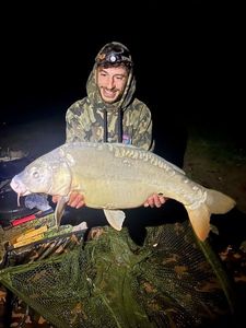 Mirror Carp