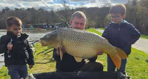 Common Carp