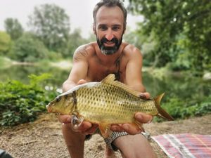 Common Carp