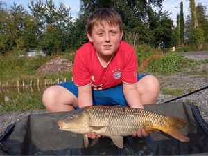 Common Carp