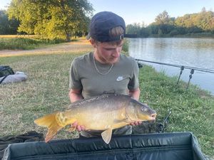 Mirror Carp