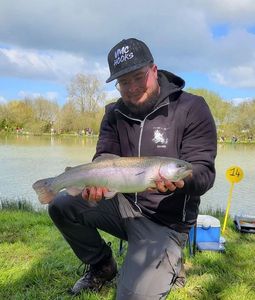 Rainbow Trout