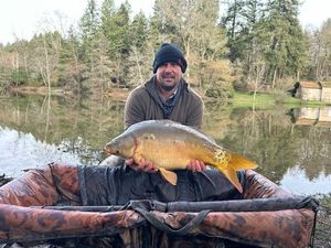 Mirror Carp