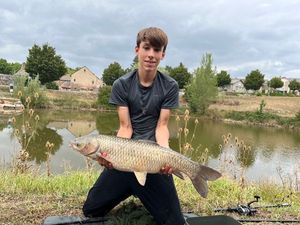 Grass Carp