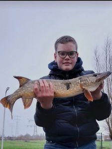 Northern Pike