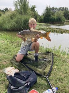 Common Carp