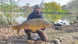 Common Carp