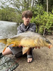 Mirror Carp
