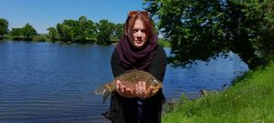 Crucian Carp
