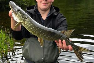 Northern Pike
