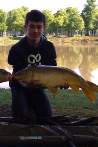 Mirror Carp