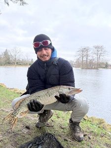 Northern Pike